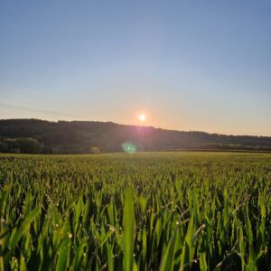 MuttertagsSonnenaufgangsWanderung (5)